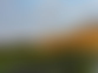 Of Meadows, Ocean & Flame