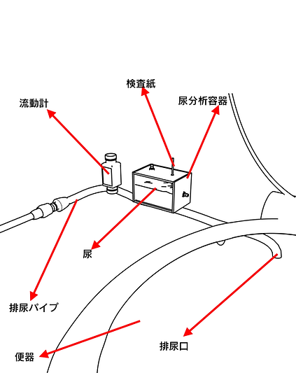 j12 のzコピー.png