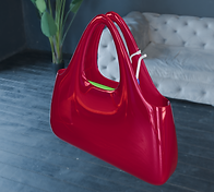 Bag-2.png