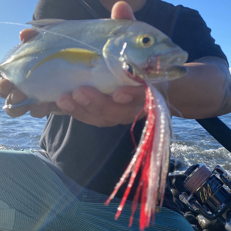 Thumbnail: Baitfish- Red