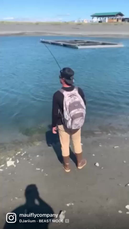 Thumbnail: Baitfish- Kupipi
