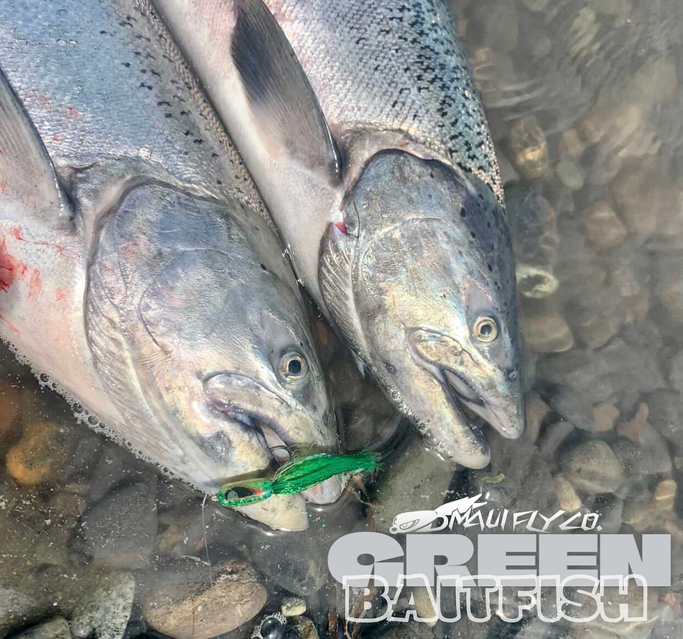 Thumbnail: Baitfish- Green