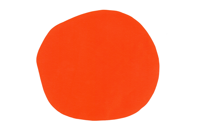 Logo The Orange Spot