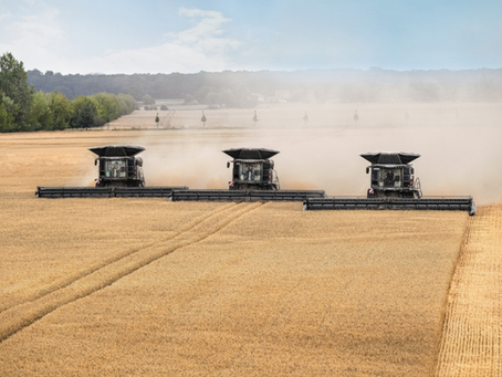 Комбайни Massey Ferguson: роторний IDEAL чи клавішно-барабанний BETA?