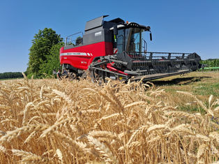 комбайн Massey Ferguson 7370