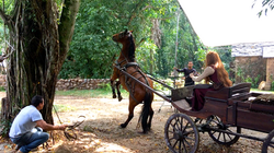 carroca dsr