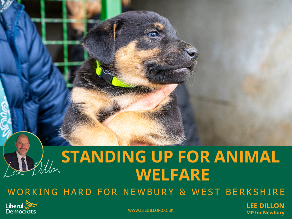 Standing Up for Animal Welfare