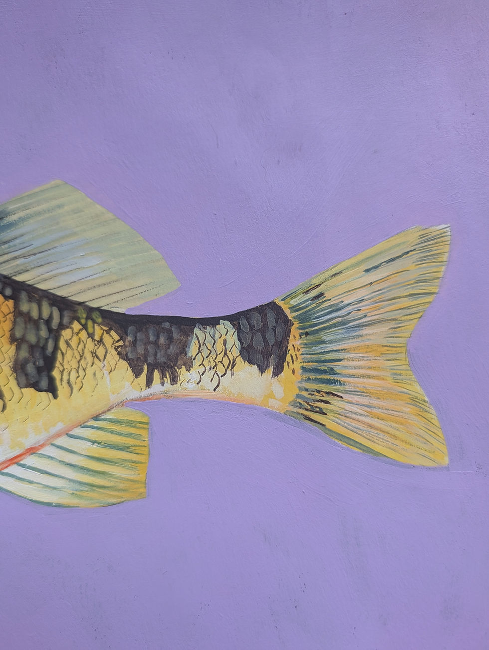 Thumbnail: Acrylic painting of a yellow perch on a purple background.