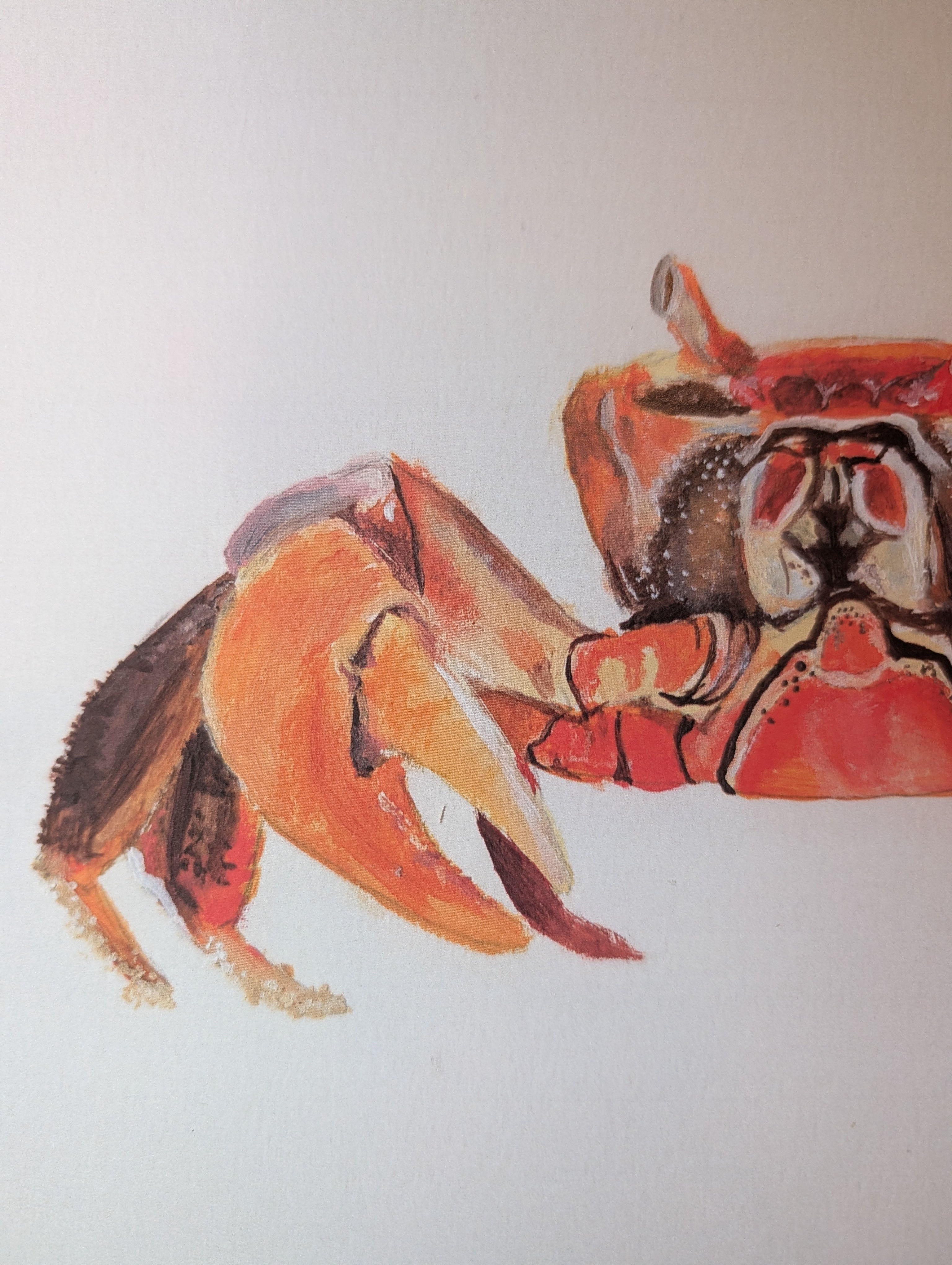 Crabby Print