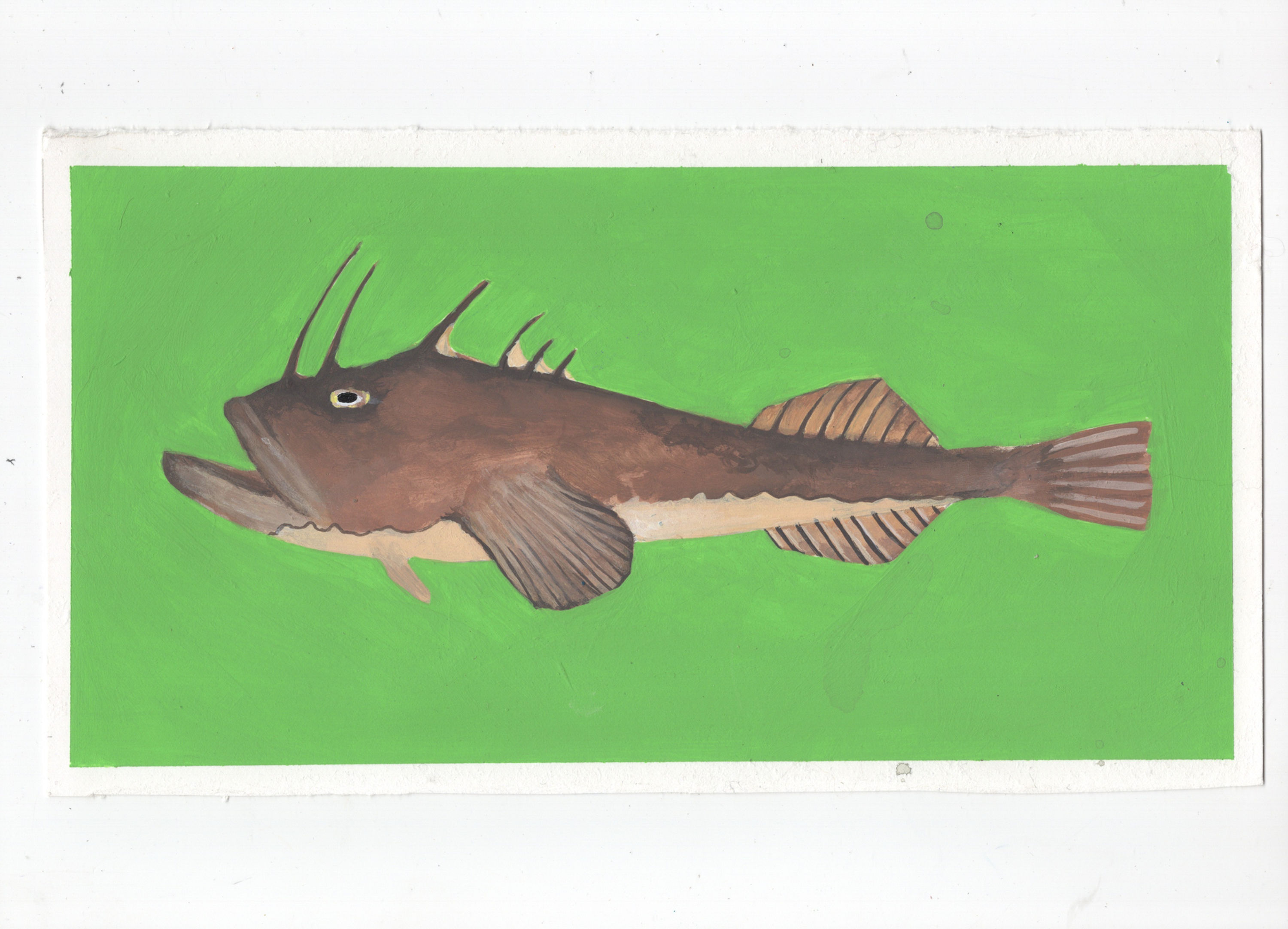 Monkfish Acrylic Painting