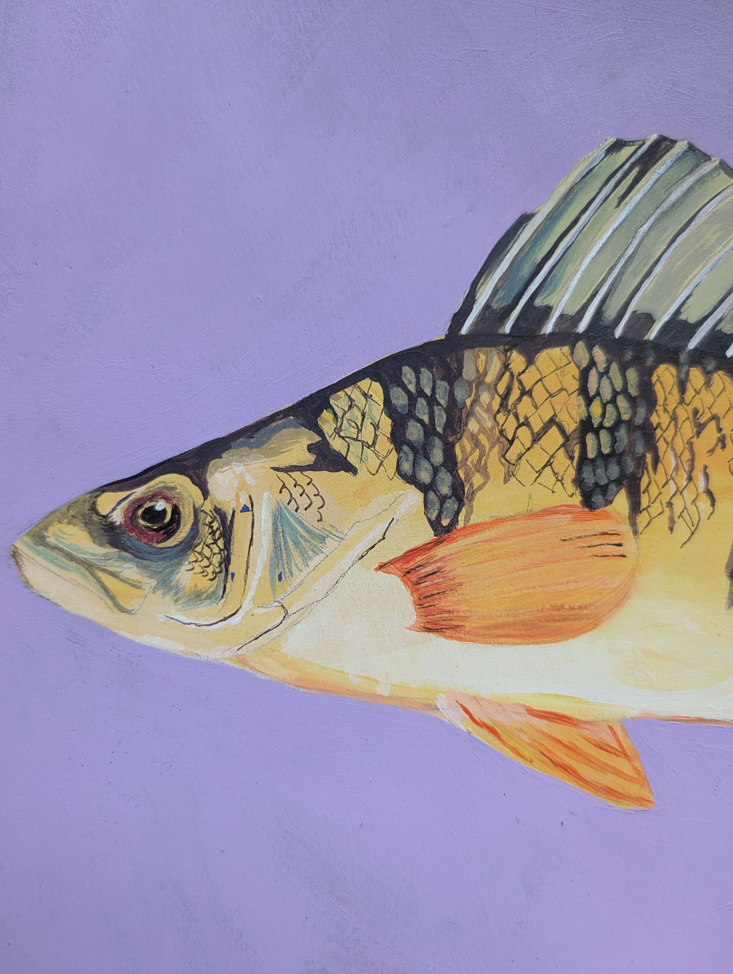 Acrylic painting of a yellow perch on a purple background.