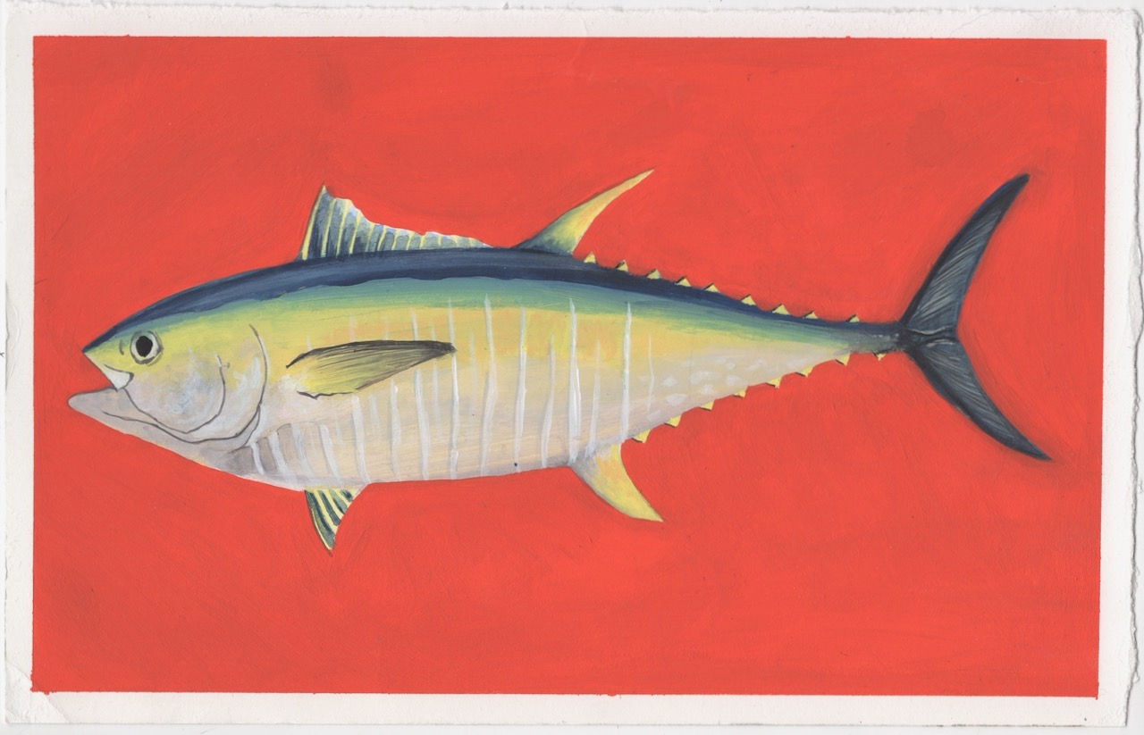 Yellowfin Tuna Acrylic Painting