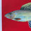 Thumbnail: Arctic Grayling Acrylic Painting