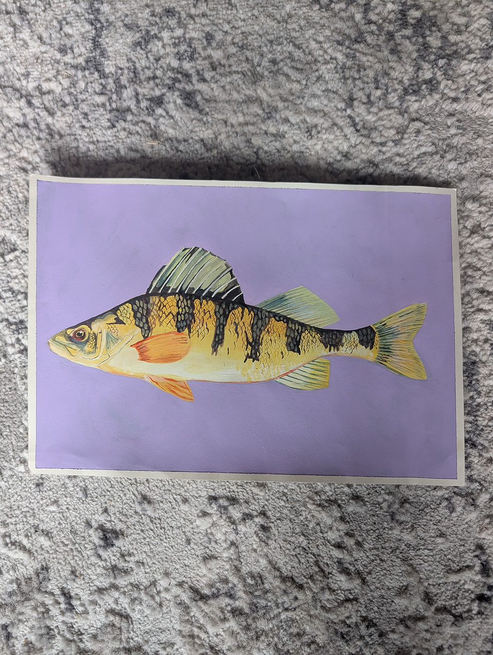 Thumbnail: Acrylic painting of a yellow perch on a purple background.