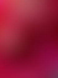 The Lightworkers path into the New Earth