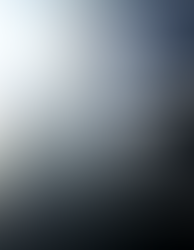 The Fall and The Rise