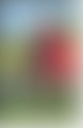 Pine Hill Cattle Company goes direct-to-consumer route for success