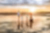 A family of 4 is playing on the beach with a gorgeous sunset and clear reflections underneath from the low tide.