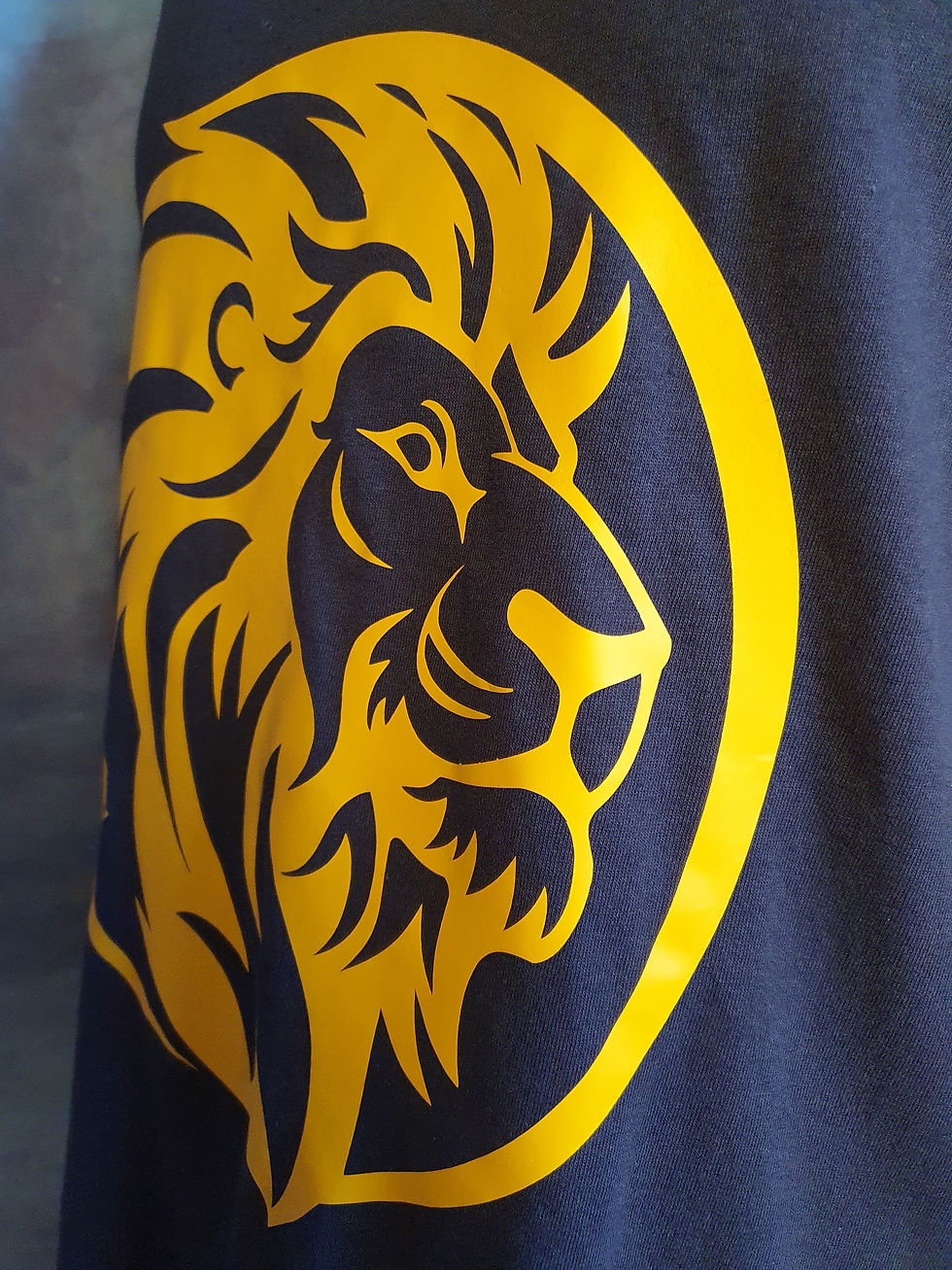 Thumbnail: Be Powerful Fearless & Strong 2 Sided Lion 🦁 Inspiration T-Shirt 