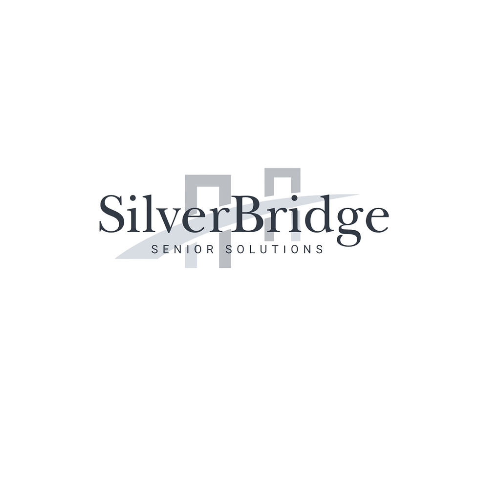 SB Logo Transparent.jpg