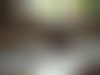 Exploring Morningstar Academy's Homeschool Approach