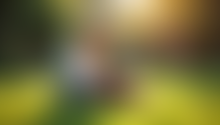 Compare Homeschooling Approaches: Exploring Different Methods