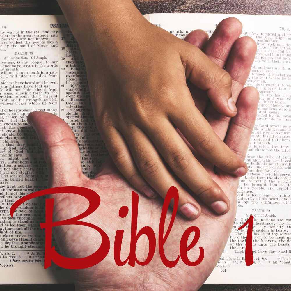 Bible 1