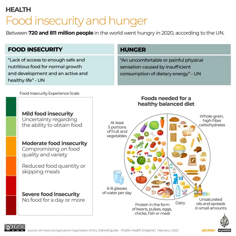WHAT IS HUNGER visual data 6