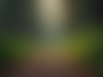 The Importance of Boredom in Child Development and Learning Through Self-Directed Exploration