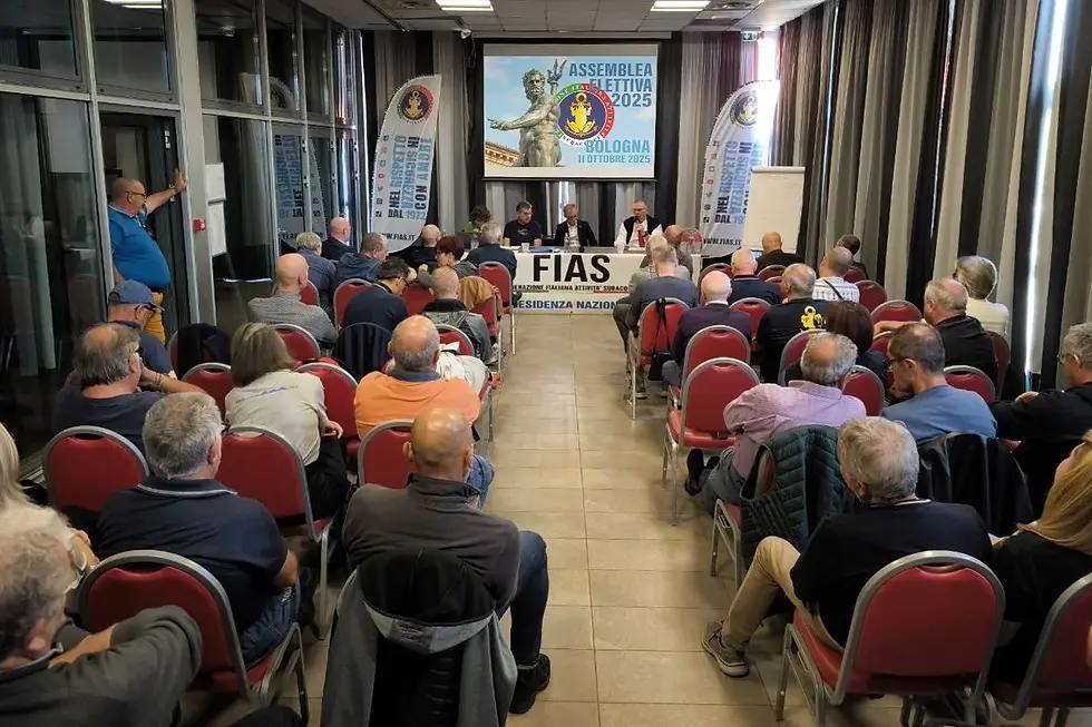 Elezioni Fias 2025