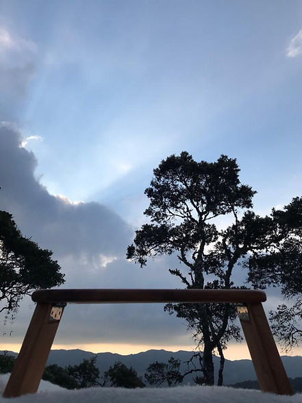 Baquillo atardecer
