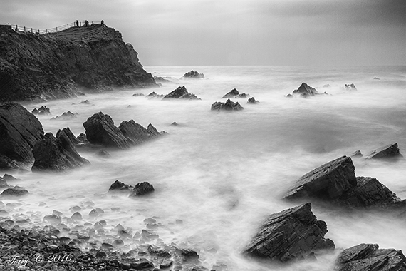 Devon Coast