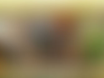 Фондовый Рынок Сошел С Ума? Индексы Намекают Что Еще Нет, GameStop- Исключение