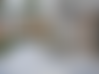 Почему Лучшие Дни Floor & Decor Продолжатся И После Covid-ного Бума