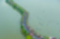 Zhaoqing Marathon 1.jpg