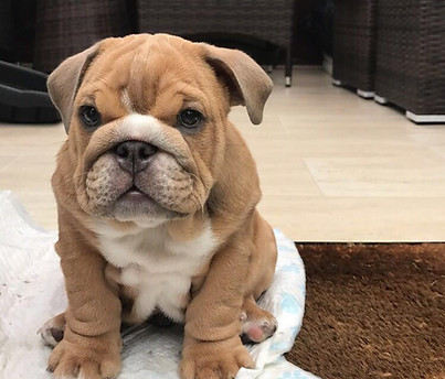 hugga (9).jpg