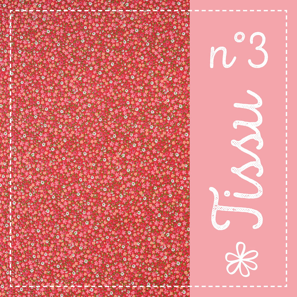 Miniature : BOUILLOTTE SECHE BIO