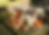 Screenshot 2026-02-11 at 11.28.25 PM.png