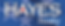hayes-realty-logo.png