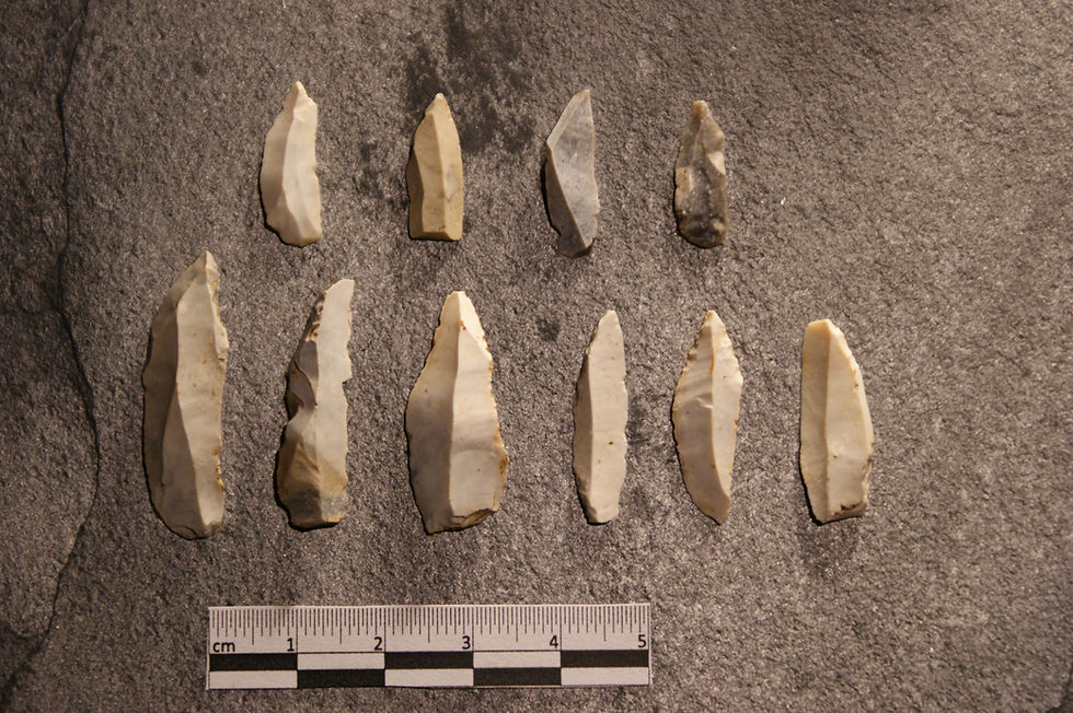 Mesolithic microliths