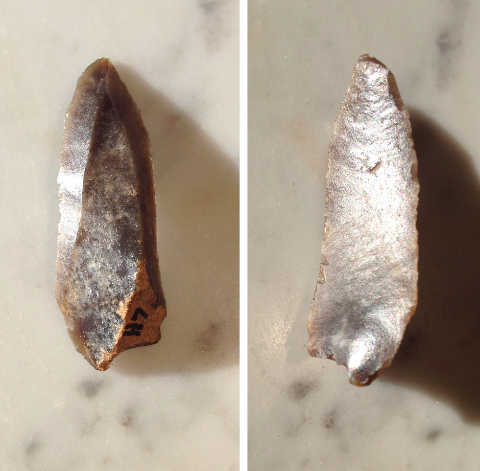 flechette