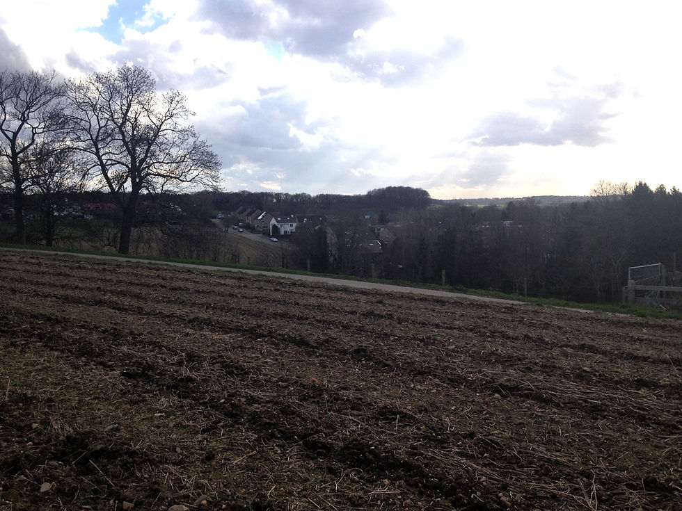 Figure 5: View from the Hogeweg, overlooking the village of Sweikhuizen