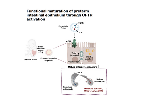 Screenshot from 2025-07-03 12-04-01.png