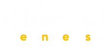 PNG LOGO FFC500.png