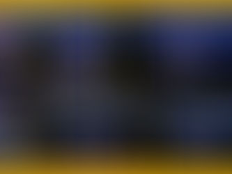 Spreading her wings and soaring through ballet