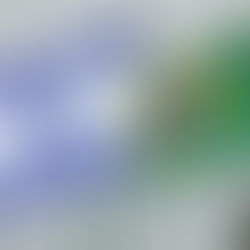 A liberdade religiosa é uma pedra fundamental na democracia em Israel