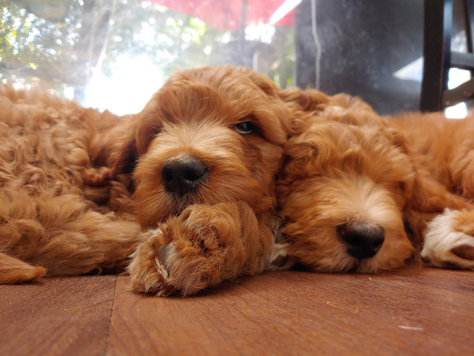 20210309_122833 (1).jpg