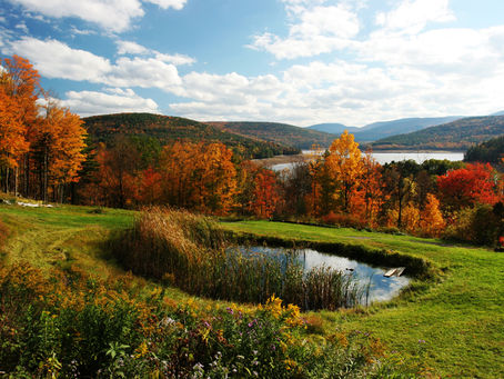 Catskills New York Fall Foliage: The Ultimate Scenic Drive