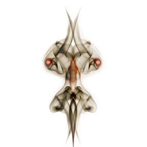 01_Wasptien.png