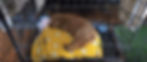 cropped1.jpg